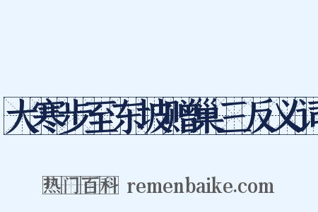 大寒步至东坡赠巢三反义词是什么意思的图片